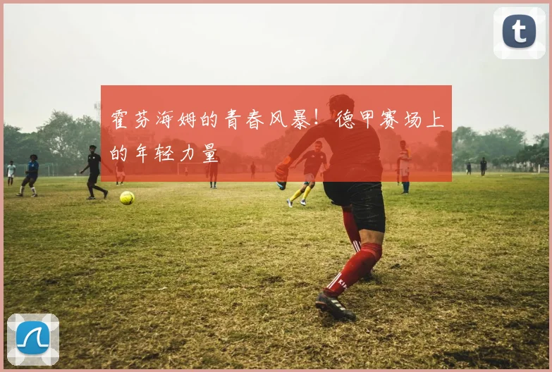 霍芬海姆的青春风暴！德甲赛场上的年轻力量