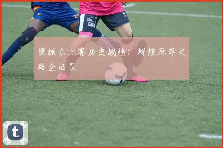 樊振东比赛历史战绩：辉煌冠军之路全记录
