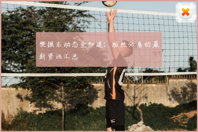 樊振东动态全知道：粉丝必看的最新资讯汇总