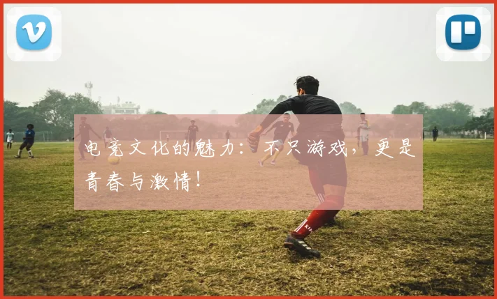 电竞文化的魅力：不只游戏，更是青春与激情！